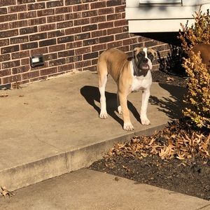 Meet your Posher, Kevin